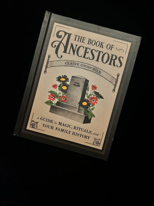 The Book of Ancestors - Claire Goodchild