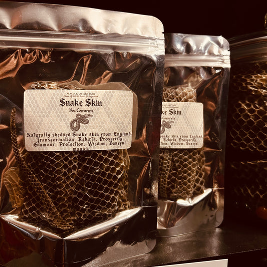 Boa Constrictor Snake Skin