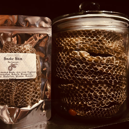 Boa Constrictor Snake Skin