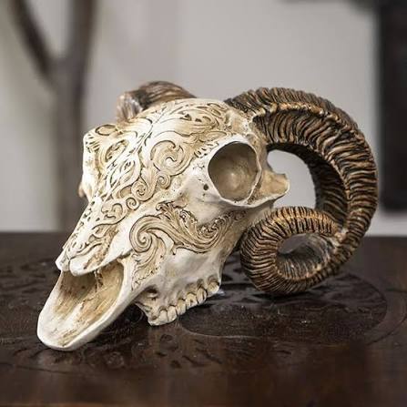 Ram Skull - Resin