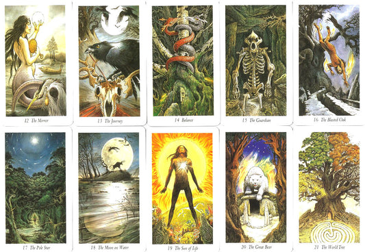 The Wild Wood Tarot